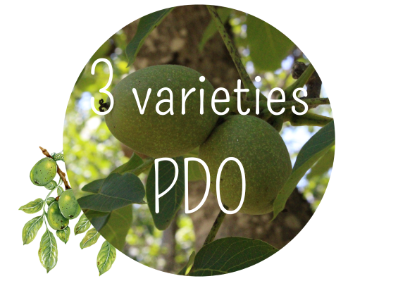 3 PDO