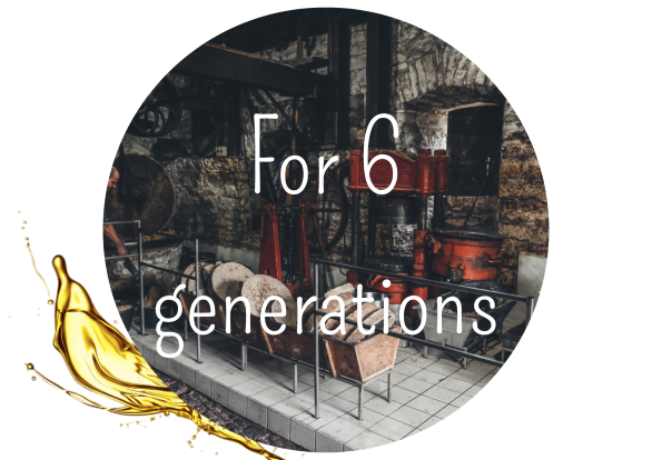 6 gene en